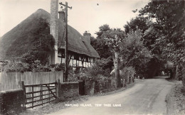 England - Hants - HAYLING ISLAND Yew Tree Lane - Altri & Non Classificati