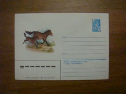 1979 Envelope USSR Przewalski's Horse (B3) - Azerbeidzjan