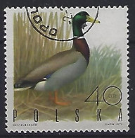 Poland 1970  Jagdbare Vogel  (o) Mi.1988 - Gebraucht