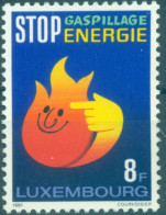 LUXEMBURGO 1981   990 ** - Unused Stamps