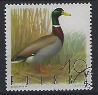 Poland 1970  Jagdbare Vogel  (o) Mi.1988 - Gebraucht