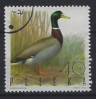 Poland 1970  Jagdbare Vogel  (o) Mi.1988 - Gebraucht
