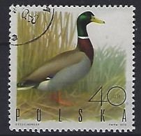 Poland 1970  Jagdbare Vogel  (o) Mi.1988 - Gebraucht