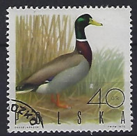 Poland 1970  Jagdbare Vogel  (o) Mi.1988 - Gebraucht