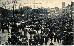 Utrecht, Vreeburg Palmpaardenmarkt - Utrecht