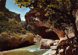 04 Baume Aux Pigeons 04120 La Palud-sur-Verdon (Scan R/V) N° 6 \PB1113 - Manosque