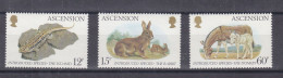 Lapins - ânes - Iguane - Ascension - Yvert 340 / 3 ** - Valeur 4,50 Euros - Conigli