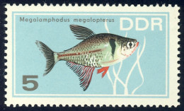 1221 Zierfische Phantomsalmler 5 Pf ** - Unused Stamps