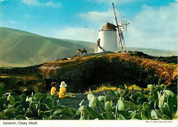 Moulin à Vent - CPM - Voir Scans Recto-Verso - Windmills