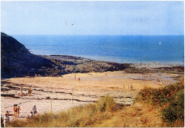 Carte Postale CPM Cancale Plage Du Petit Port Photo Georget-Dolbeau 35 - Cancale