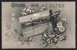 AK Olten, Blick über Die Aare Auf Den Ort, Blumenwiese  - Olten