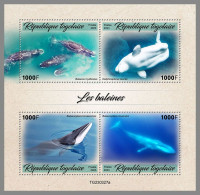 TOGO 2023 MNH Whales Wale M/S - OFFICIAL ISSUE – DHQ2428 - Ballenas