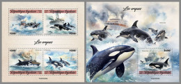 TOGO 2023 MNH Orcas Schwertwale M/S+S/S - OFFICIAL ISSUE – DHQ2428 - Ballenas