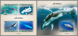 TOGO 2023 MNH Whales Wale M/S+S/S - OFFICIAL ISSUE – DHQ2428 - Whales