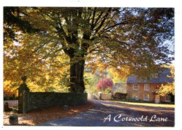 AK 221137 ENGLAND - A Cotswold Lane - Other & Unclassified