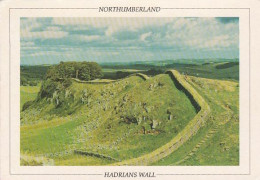 HADRIANS WALL, NORTHUMBERLAND -   Used Postcard - NOR4 - Altri & Non Classificati