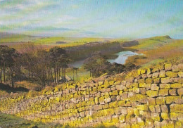 THE ROMAN HADRIANS WALL, NORTHUMBERLAND -   Used Postcard - NOR4 - Altri & Non Classificati