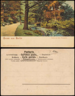 Ansichtskarte Tiergarten-Berlin Partie Aus Dem Tiergarten, Brücke 1912 - Dierentuin