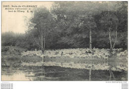 BOIS DE CLAMART MOUTONS S'ABREUVANT AU BORD DE L'ETANG - Clamart