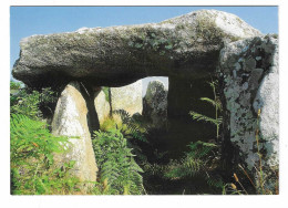 47 CPB -  CARNAC (56)  Alignements Du MÉNEC - LE DOLMEN - Dolmen & Menhirs