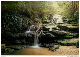 CPSM Australia-Leura Cascades   L2171 - Other & Unclassified