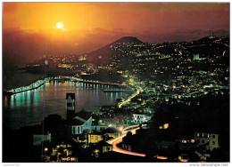 CPSM Madeira-Funchal   L1981 - Madeira