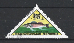 Mongolia 1963 Fish Y.T. 275 (0) - Mongolia