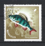 Mongolia 1965 Fish High Value Y.T. 357 (0) - Mongolia