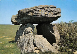 ST AFRIQUE Dolmen De Tiergue 14(scan Recto-verso) MA1773 - Saint Affrique