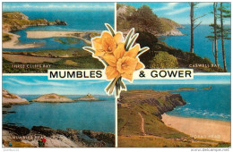 CPSM Pays De Galle-Mumbles And Gower    L1953 - Otros & Sin Clasificación