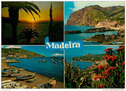 CPSM Madeira   L1971 - Madeira