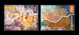 Guernsey 2024 Mih. 2006/07 Europa. Underwater Fauna And Flora MNH ** - Guernesey