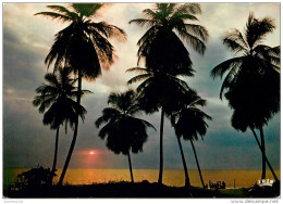 CPSM Libreville-Coucher De Soleil  L1937 - Gabon