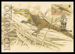 INDONESIA (2000) Carte Maximum Card - WWF Komodo Dragon, Reptile, Dragon De Komodo, Varan, Komodowaran - Indonesië