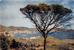 BANYULS S MER Vue Generale De La Baie 19(scan Recto-verso) MA1842 - Banyuls Sur Mer