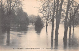 BESANCON Inondation De Janvier 1910 Promenade Micaud 15(scan Recto-verso) MA1892 - Besancon