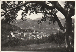 VAL DI CEMBRA ALBIANO VEDUTA PANORAMICA VIAGGIATA ANNO 1958 - Trento