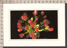 094186GF/ Marc BOSERET, Bouquet De Tulipes, Artistic Views Editions, The Collection *Look* - Autres & Non Classés