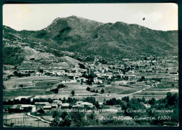 D073 - BARDINETO PANORAMA - VEDUTA DI MONTE CARMO - SAVONA - Andere & Zonder Classificatie