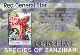 TANZANIA 2006 - Espèces De Zanzibar - étoile De Mer Red General Star - Bloc - Tanzania (1964-...)