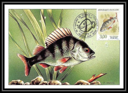 4554a/ Carte Maximum (card) France N°2664 Poissons (Fish) De France édition Cef Fdc 1990  - 1980-1989