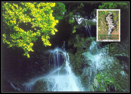 Liechtenstein - Carte Maximum (card) 2069 - N° 1196 Europa 2001 Cascade Eau Water Wasser - Cartoline Maximum