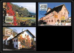 Liechtenstein - Carte Maximum (card) 2051 - N° 1153/1155 Maler Vaduz Lot 3 Cartes 1999 - Cartoline Maximum