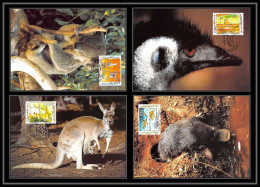 Liechtenstein - Carte Maximum (card) 2062 - 1182/1185 Jeux Olympiques Olympic Games SYDNEY 2000 Koala Kangouroo Animals - Cartoline Maximum