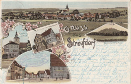 0-6111 STREUFDORF, Lithographie 1901, Kaufhaus Westhäuser, Kirche Und Schule, Marktplatz, Burgruine Straufhain - Hildburghausen