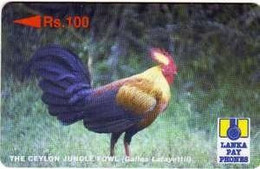 SRILANKA : 21D 100 Ceylon Jungle Fowl USED - Sri Lanka (Ceylon)