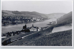 50346991 - Wehlen, Mosel - Bernkastel-Kues