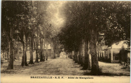 Brazzaville - Allee De Manguiers - Andere & Zonder Classificatie