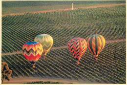 Aviation - Montgolfières - Northern California Vineyard Serves As Abackground For The Many Colorful Hot Air Balloons In  - Balloons