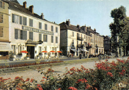 Salins Les Bains Hôtel Des Messageries - Other & Unclassified